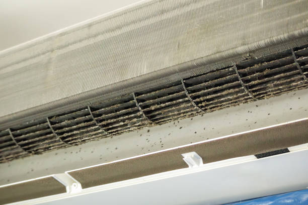 Best Affordable Air Duct Cleaning  in Livingston, MT